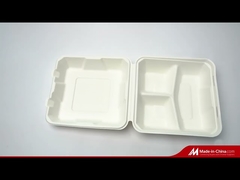 sugarcane bagasse tableware