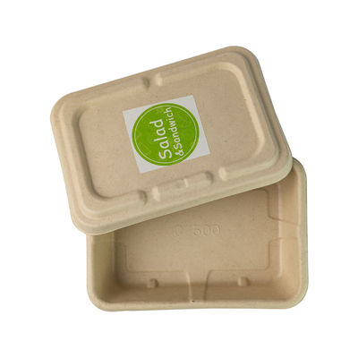 Molded Sugarcane bagasse Throw Away Meal Prep Containers , Biodegradable Salad Boxes