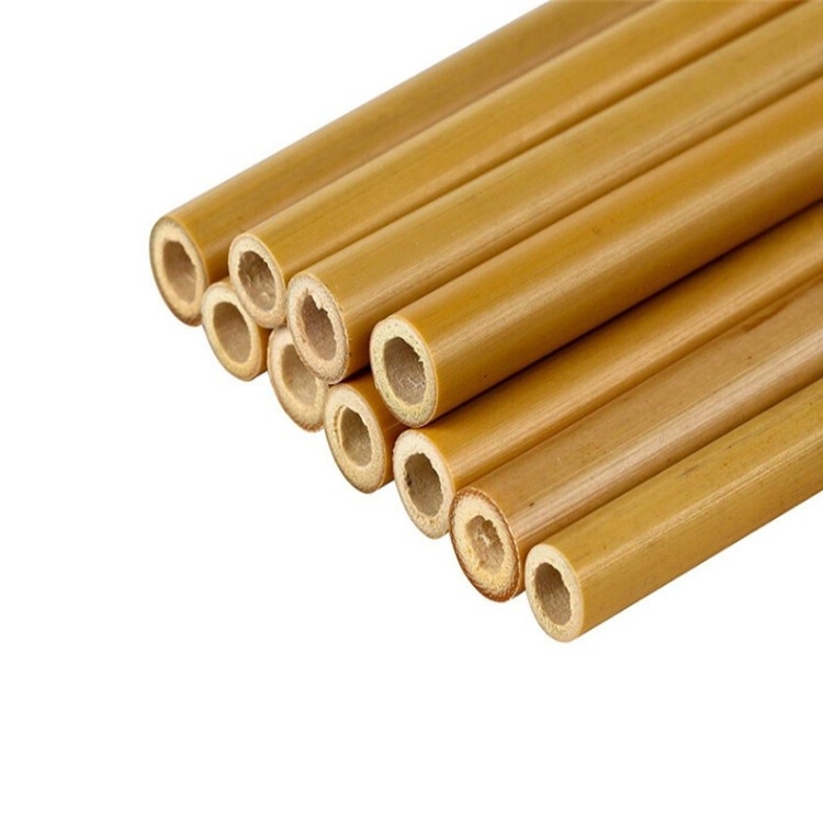 20cm Disposable Bamboo Straw Eco-Friendly and Natural for Travelling