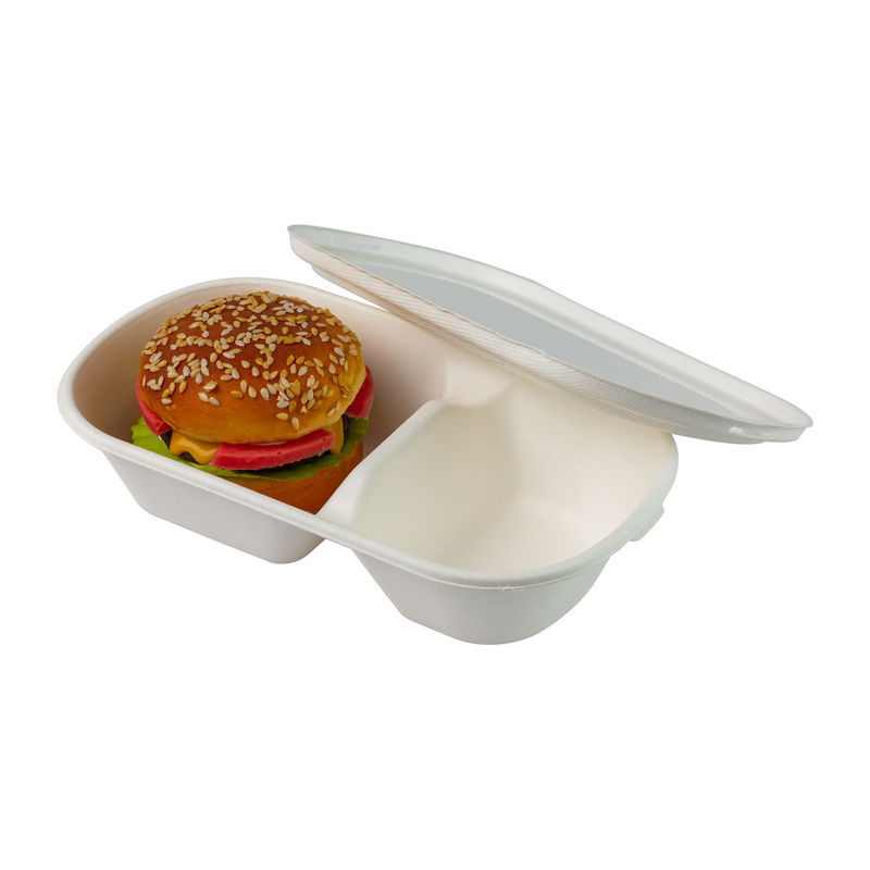 100% Biodegradable Compostable Sugarcane Fiber Bagasse Food Container