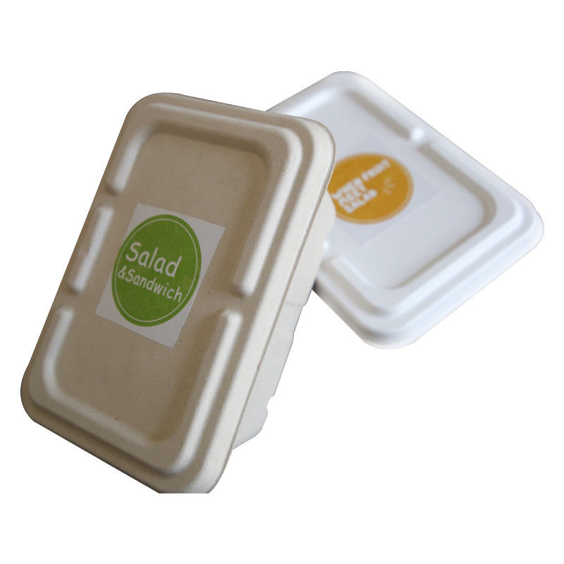 Factory 100% Biodegradable Compostable Bagasse Pulp Packaging Food Container