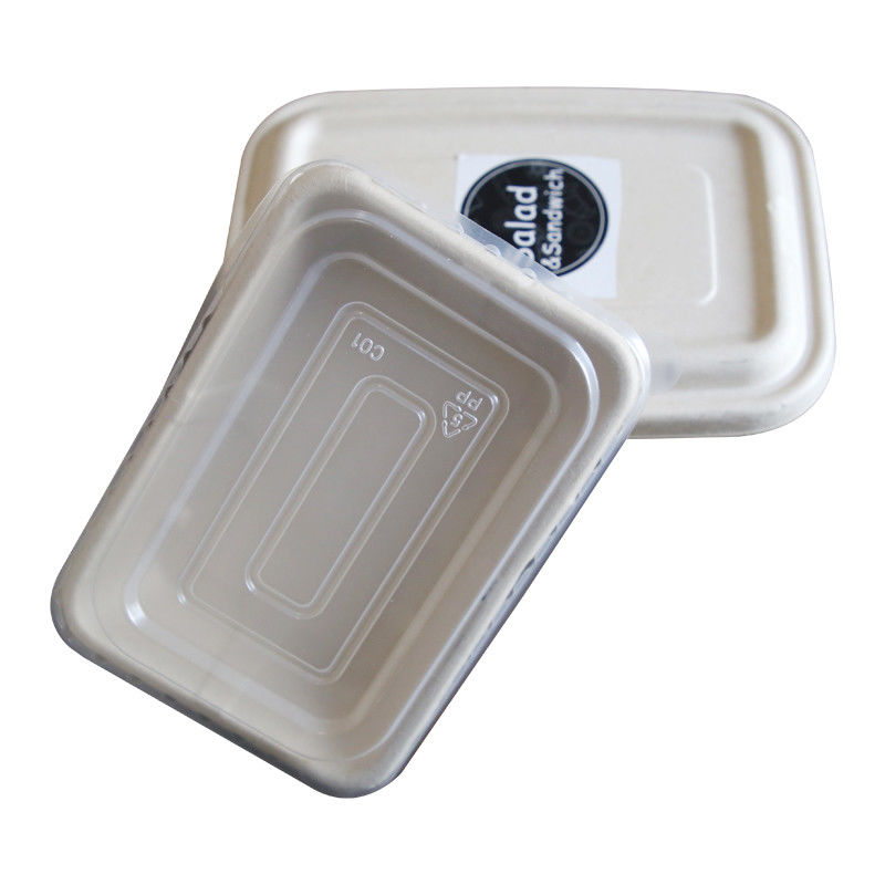 Factory 100% Biodegradable Compostable Bagasse Pulp Packaging Food Container