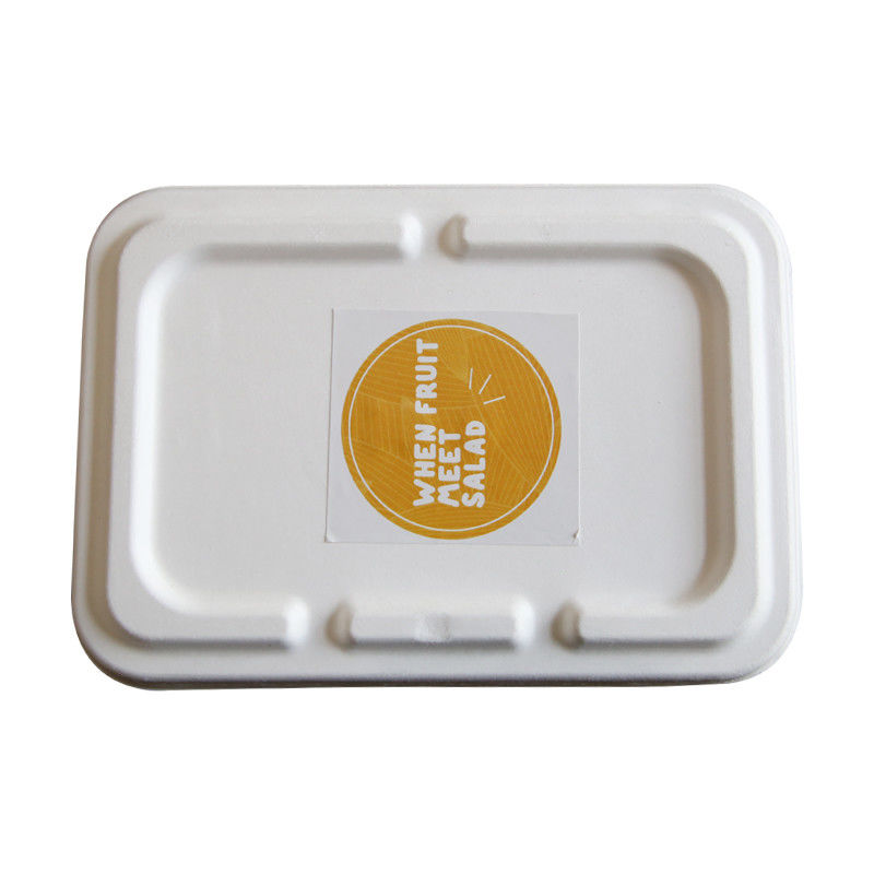 Factory 100% Biodegradable Compostable Bagasse Pulp Packaging Food Container