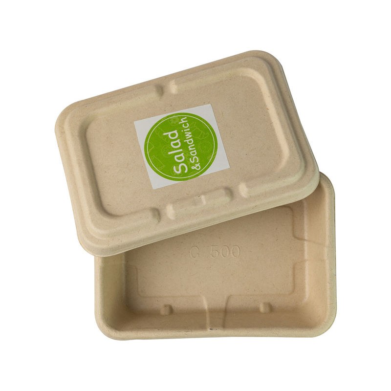 Molded Sugarcane bagasse Throw Away Meal Prep Containers , Biodegradable Salad Boxes