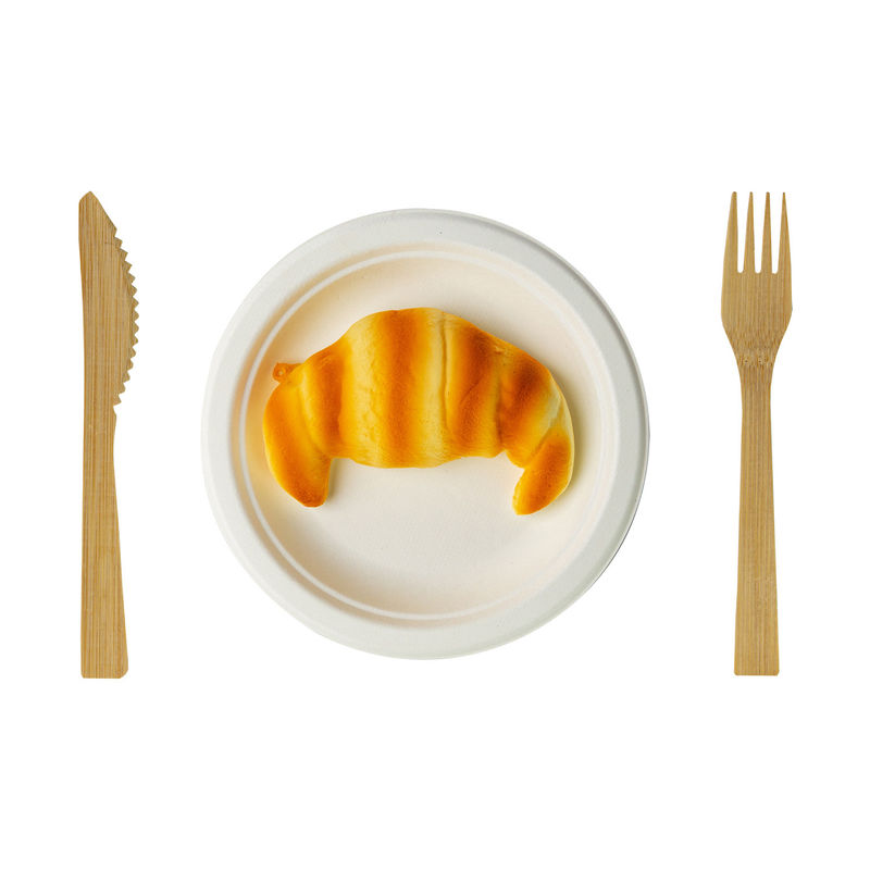 Compostable Biodegradable Disposable 9inch 10inch Sugarcane Sugar Cane Bagasse Party Dinner Plate