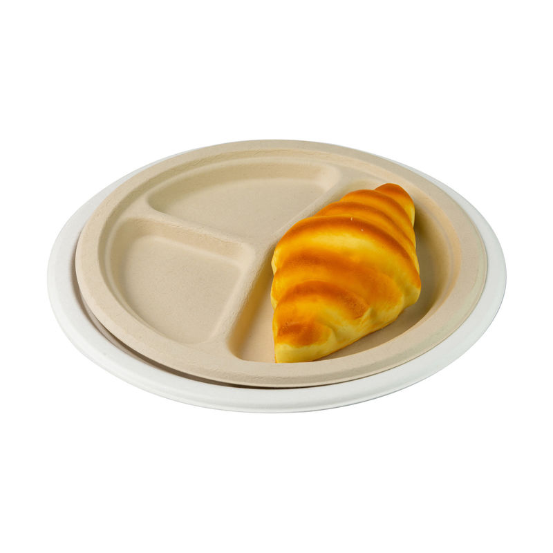 Disposable 10 Inch Compostable Biodegradable Sugarcane Bagasse Plates