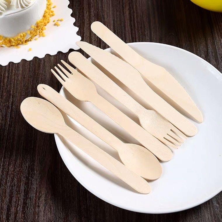 Biodegradable Bamboo Utensil Disposable Bamboo Cutlery Set for Party Camping Grade A 170mm