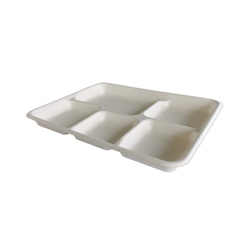 School Lunch Biodegradable Sugarcane Plates Disposable