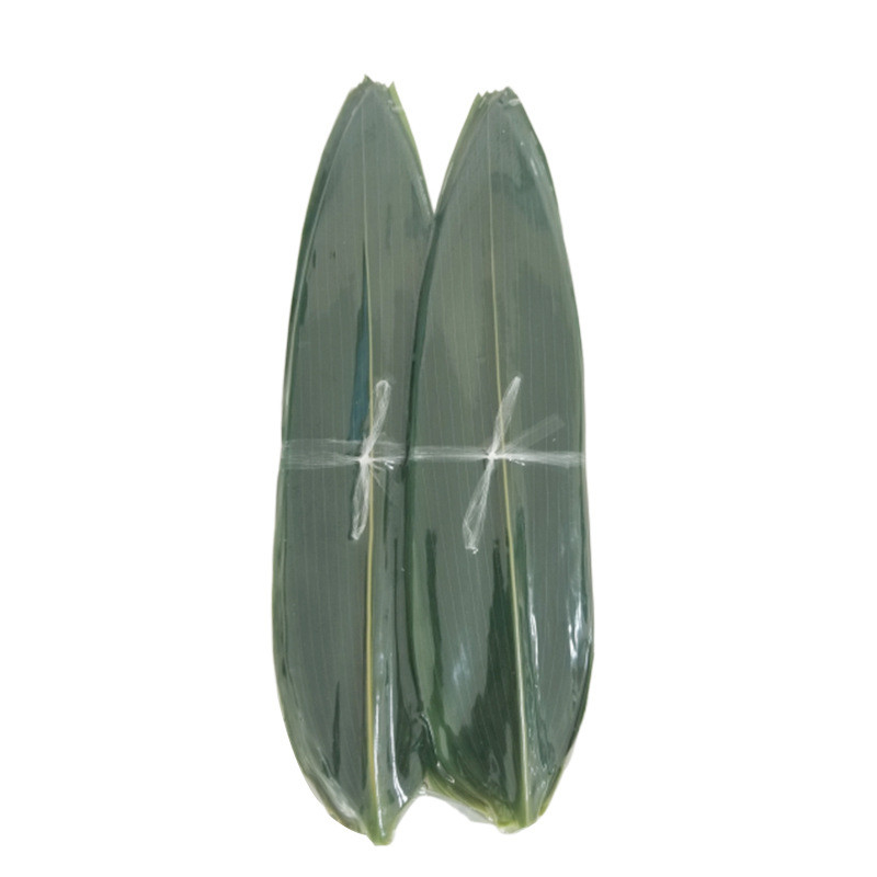 Big Size Food Safe Green Bamboo Leaf For Sushi / Zongzi