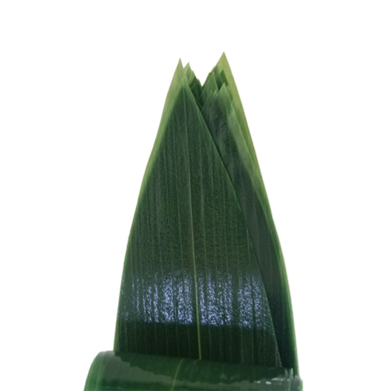 Big Size Food Safe Green Bamboo Leaf For Sushi / Zongzi