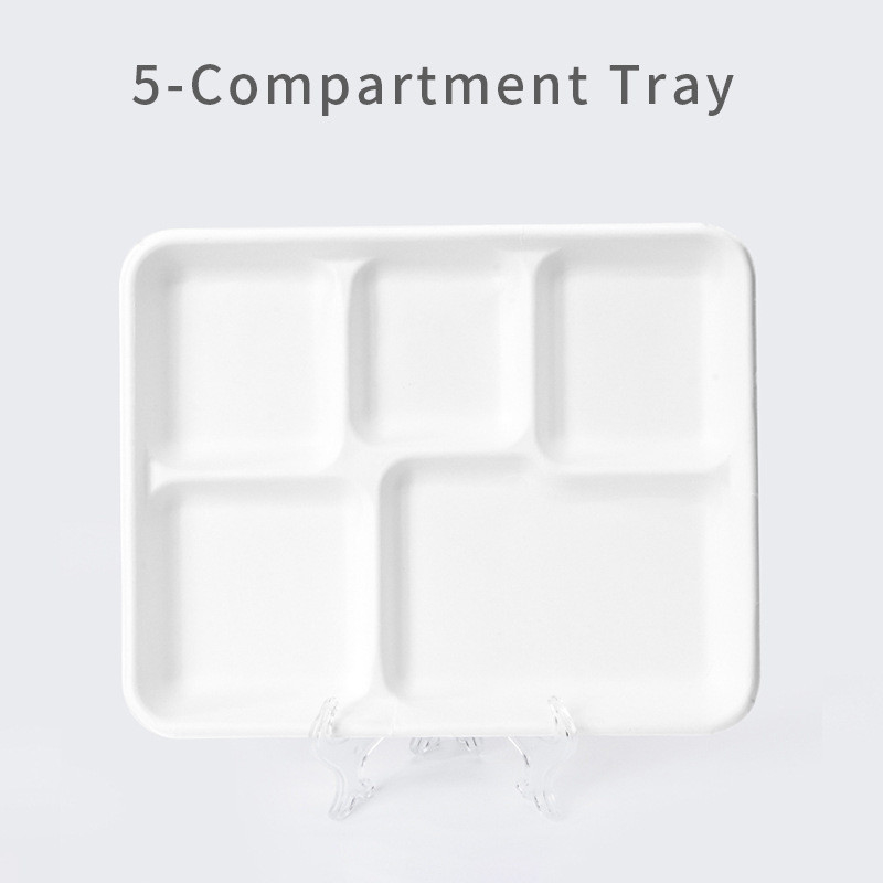 School Lunch Biodegradable Sugarcane Plates Disposable
