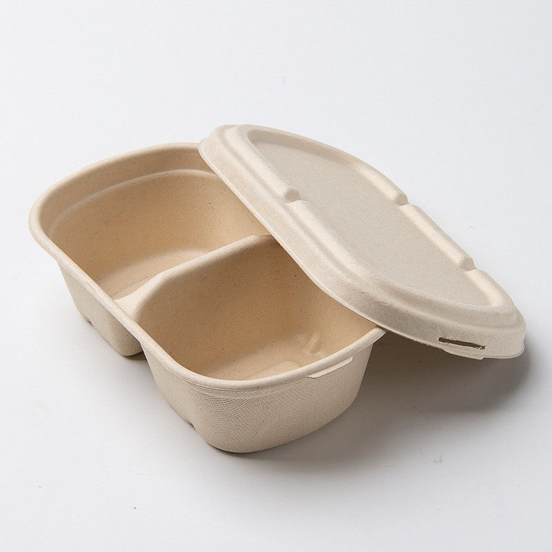 100% Compostable Food Container
