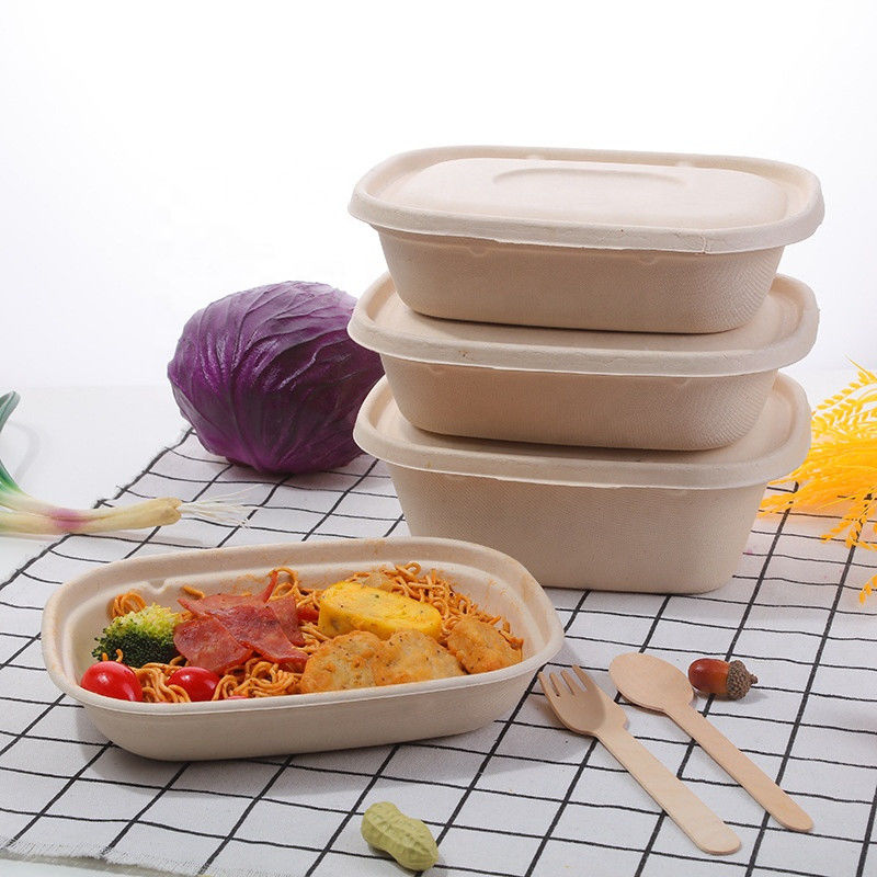 100% Compostable Food Container